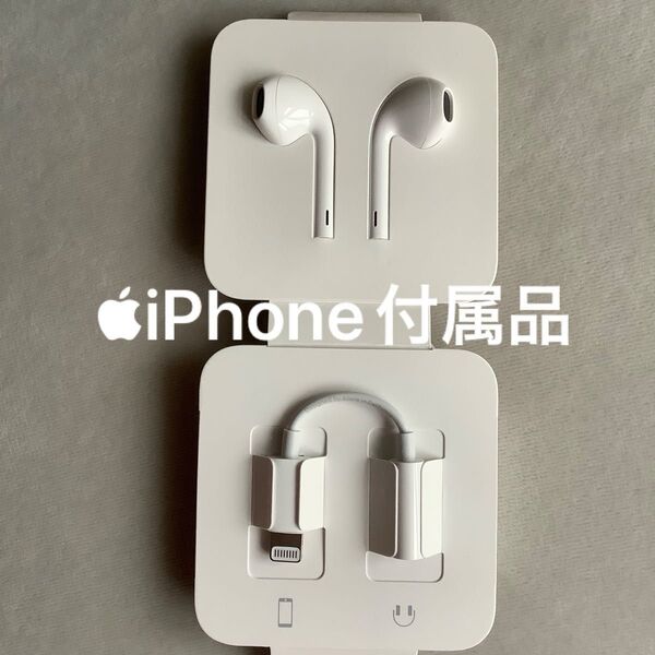 Apple iPhone イヤホン ライトニング イヤホン変換ケーブル 有線イヤホン