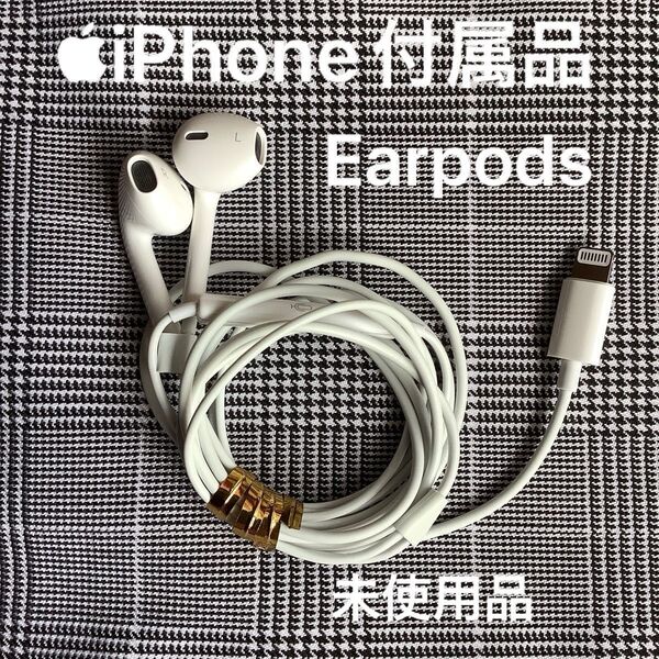 未使用品 Apple iPhone イヤホン ライトニング 有線イヤホン アップル純正品 A1748