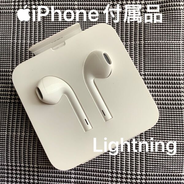 apple iPhoneイヤホン ライトニング 有線イヤホン アップル純正品
