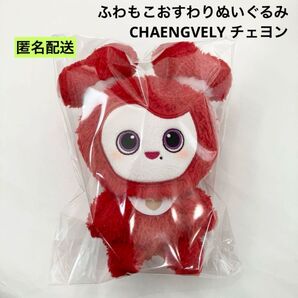 新品 TWICE LOVELYS ふわもこおすわりぬいぐるみ チェヨン 赤 ③