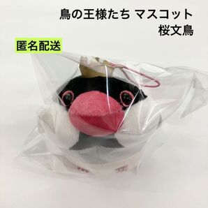 新品 鳥の王様たち マスコット 桜文鳥 ぬいぐるみ ラウンドワン限定