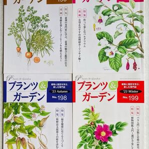 # プランツ&ガーデン(植物と園芸を学ぶ、楽しむ専門誌) No.196〜199