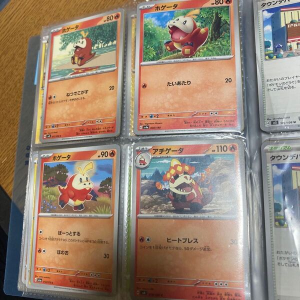 ポケモンカード ホゲータ進化ライン 進化ライン