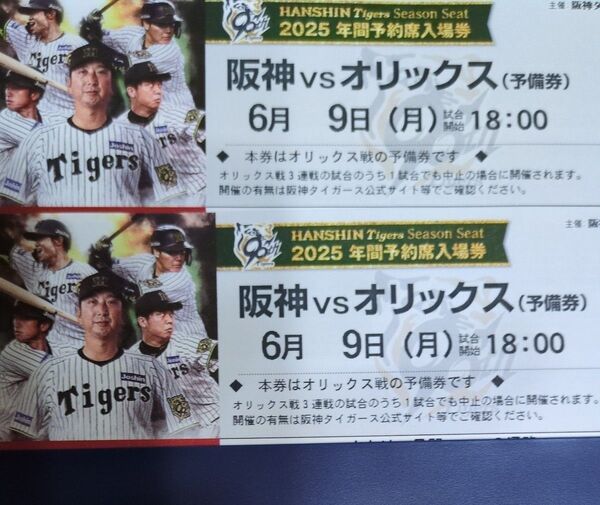 【予備券】6月9日(月) 阪神 vs オリックス 甲子園