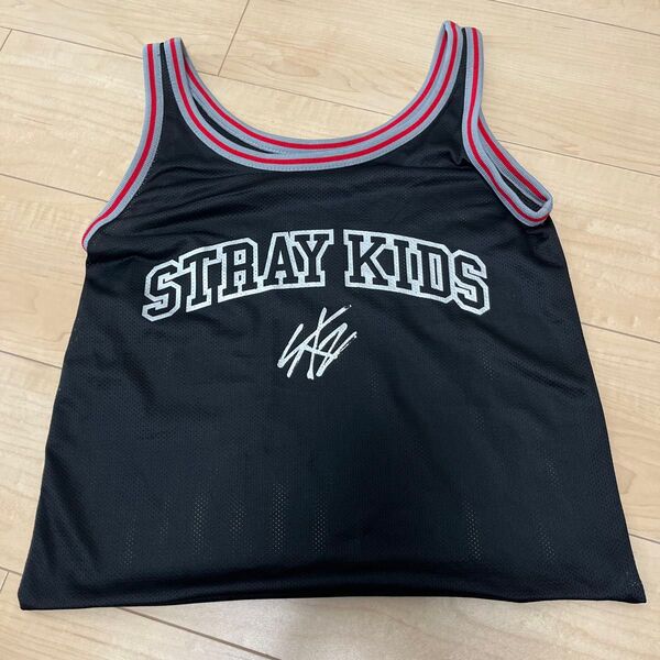 straykids スキズ エコパスタジアムアプグレ特典 メッシュバッグ 未使用