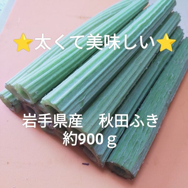 【岩手県産】秋田フキ約1kg 太くて美味しいフキです 宅急便コンパクトの箱いっぱい