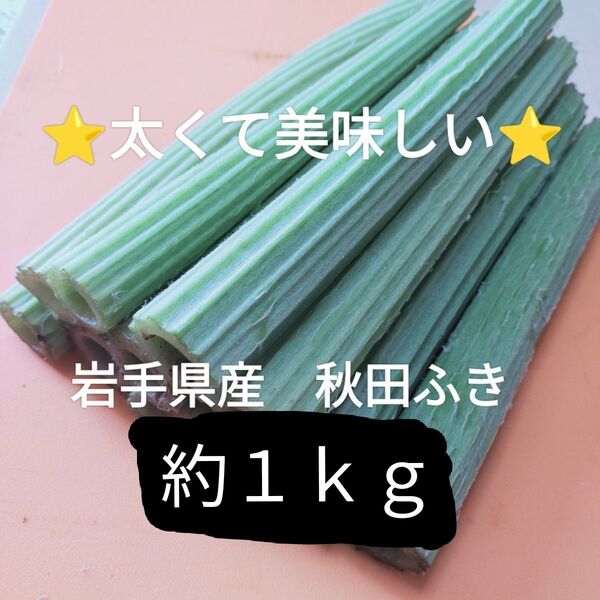 【岩手県産】秋田ふき約1kg 宅急便コンパクトの箱いっぱいに入れて発送 太くて食べ応え抜群!下処理が楽な秋田フキです