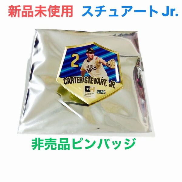 福岡ソフトバンクホークス スチュアートJr. ピンバッジ ピンズ 応援グッズ 記念グッズ