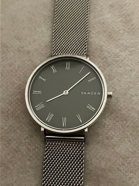 値下げ 稼働★スカーゲンSKAGEN SKW2677 クォーツ 腕時計 型番:SKW2677