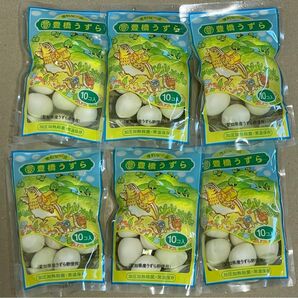 鶏卵高騰の今【B級品】うずら卵 水煮 10個入×6袋 計60個 豊橋養鶉農協製【日本中に豊橋うずらを広め隊】