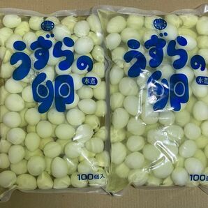 【祝OS開店セール】【やわらか食感タイプ】【B級品】うずらのたまご水煮 100個×2袋【日本中に豊橋うずらを広め隊】
