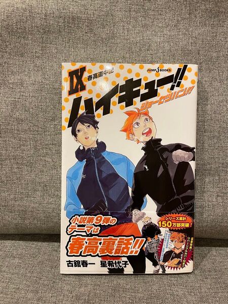 ハイキューショーセツバン Ⅸ (9巻)
