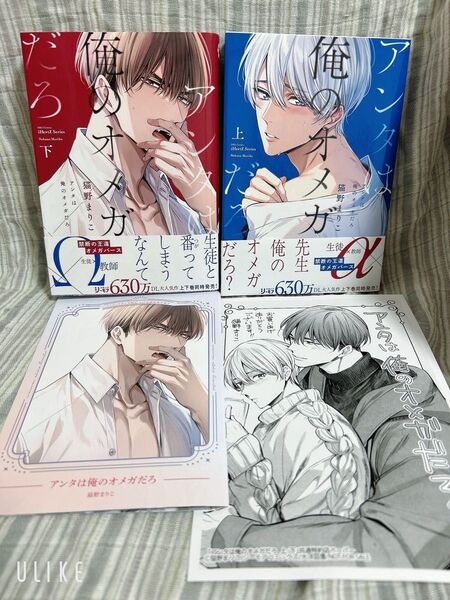 BLコミック2冊セット 猫野まりこ アンタは俺のオメガだろ 上下