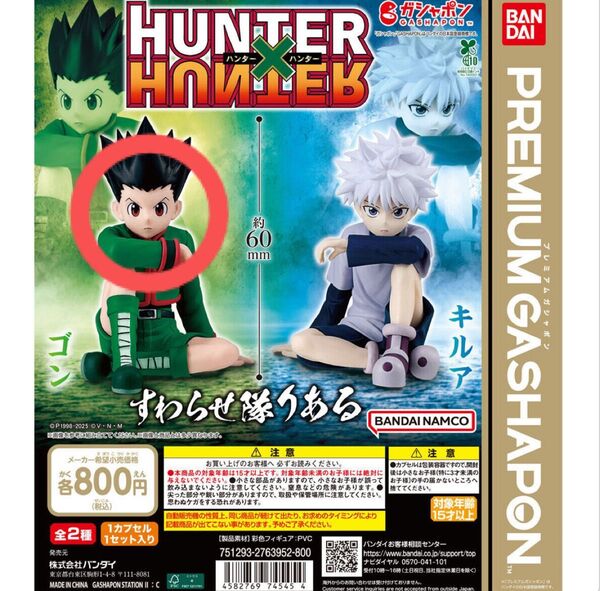 HUNTER×HUNTER すわらせ隊リアル ゴン 座らせ隊