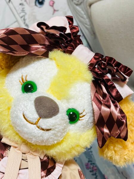 上海ディズニー チョコレートクッキーアン ぬいぐるみS+コスチュームセット!写真の子