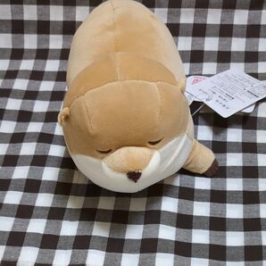 くったり カワウソ ふわもち キューティフェイス ぬいぐるみ マスコット
