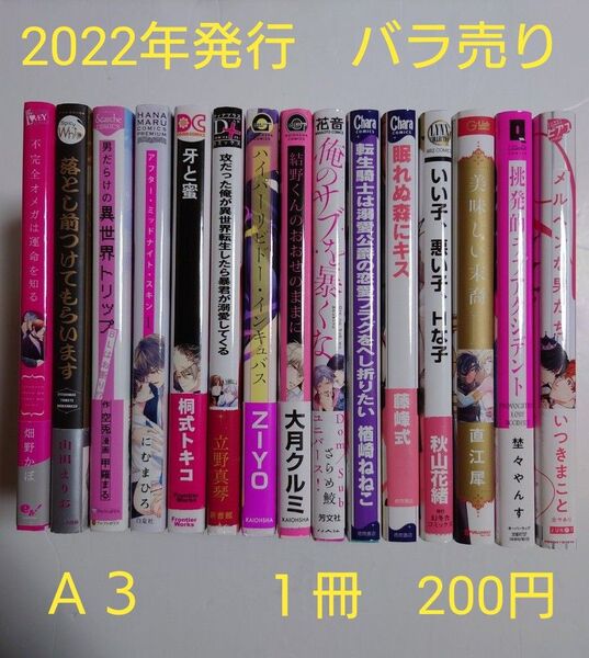 BLコミック バラ売り【A3】 1冊200円 (送料+手数料は別途) 2022年発行