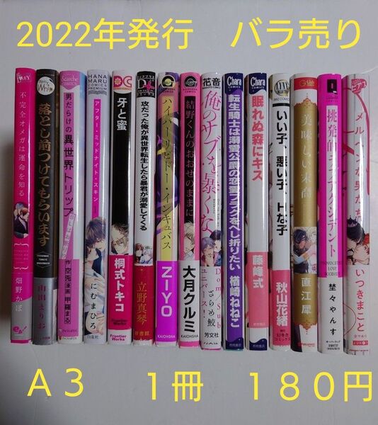 BLコミック バラ売り【A3】 1冊180円 (送料+手数料は別途) 2022年発行