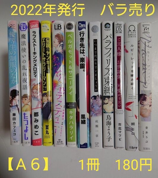 BLコミック バラ売り【A6】 1冊180円 (送料+手数料は別途) 2022年発行