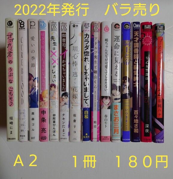 BLコミック バラ売り【A2】 1冊180円 (送料+手数料は別途) 2022年発行