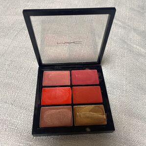 MAC プロリップパレット エディトリアル オレンジズ 口紅 ルージュ