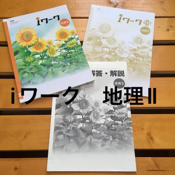 iワーク 中2 教科書 地理Ⅱ アイワーク 定期テスト対策 テキスト 塾専用