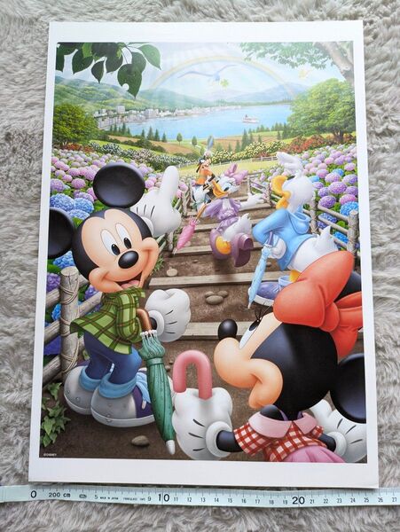 ディズニー Disney アート イラスト 絵 b4サイズ バンビ 読売新聞 あじさいの小径に幸運の虹
