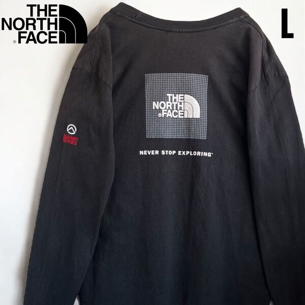 希少 海外限定 ノースフェイス 長袖 ロゴTシャツ ロンT バックプリント THE NORTH FACE Tシャツ 黒