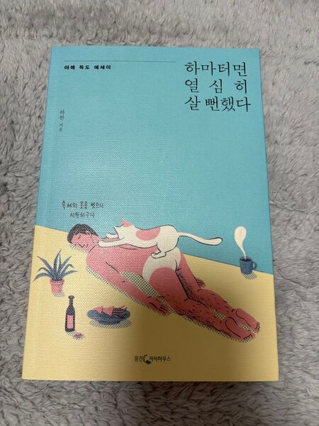 あやうく一生懸命生きるところだった 韓国語版