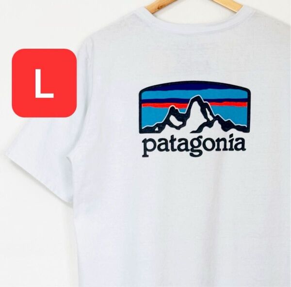 Patagonia★パタゴニア フィッツ ロイ ホライゾンズ レスポンシビリティー Tシャツ L
