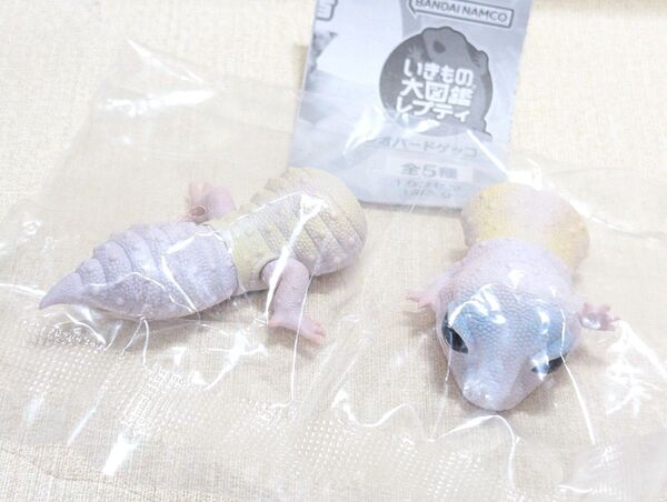 いきもの大図鑑レプティ レオパードゲッコー A