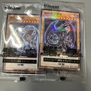 遊戯王 ブルーアイズホワイトドラゴン レッドアイズブラックドラゴン 2枚セット