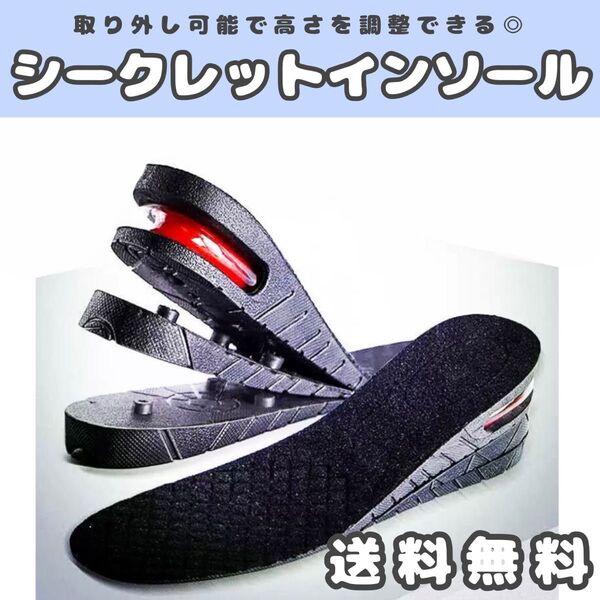 シークレットインソール インソール ソール 中敷き 足長 背 靴 インナー 男女兼用 中敷 美脚 厚底 スタイルアップ 黒