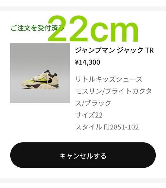 Travis Scott × Nike PS Jordan Jumpman Jack TR CJ1 T-Rexx 22cm
