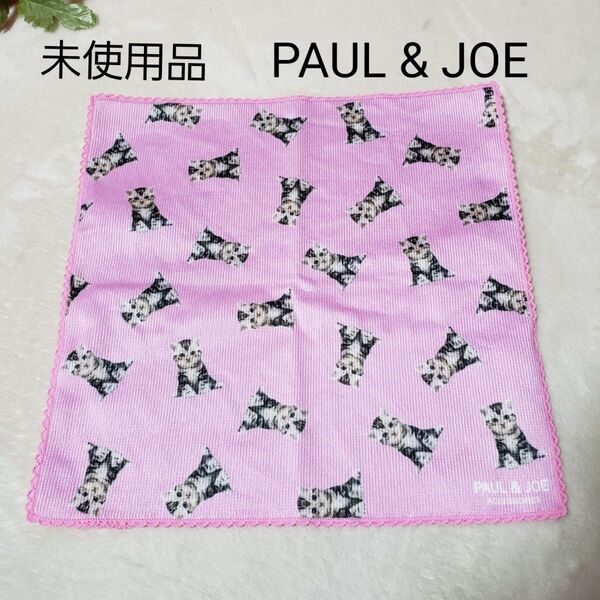 PAUL&JOE 猫プリント ハンカチ タオルハンカチ 大判 アメショー ポール&ジョー