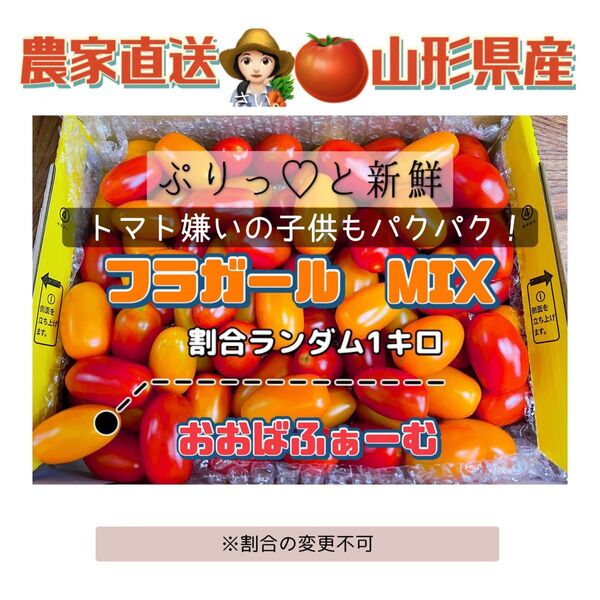農家直送!山形県産!ぷりっと新鮮フラガールmix1キロ