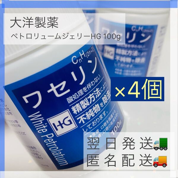 大洋製薬 ペトロリュームジェリーHG100g(白色ワセリン)