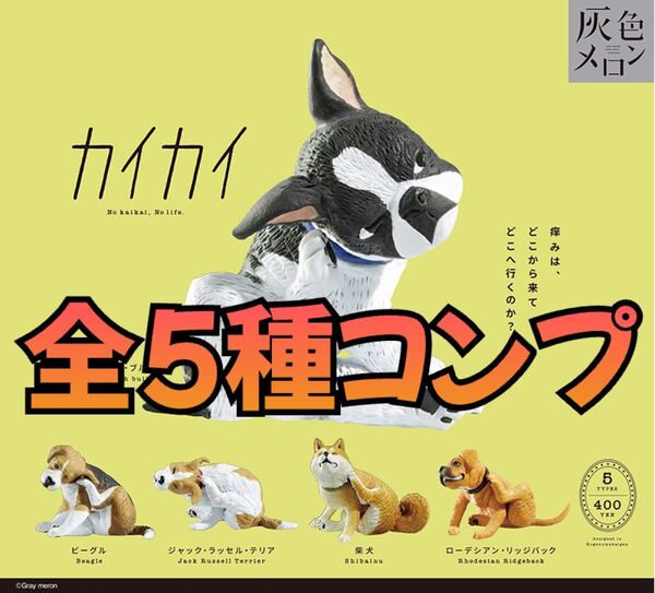 カイカイ 全5種コンプリートセット 灰色メロン