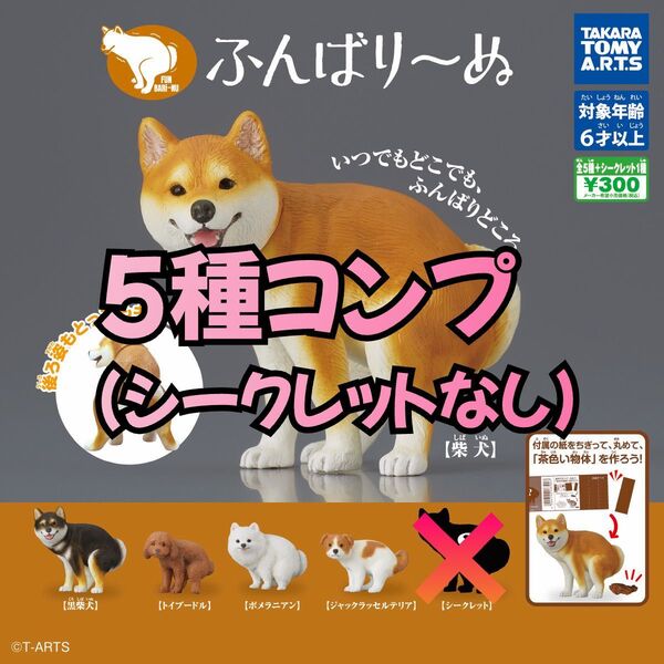 ふんばりーぬ 5種類 ノーマルコンプシークレットなし
