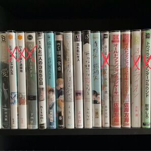 BLコミックス Ⅰ