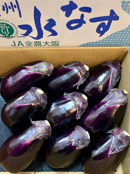 ピッカピカ 大阪泉州水茄子 1000gほど