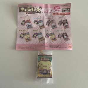 サンリオキャラクターズ キャラパキ チョコレート ミニチュアコレクション ポムポムプリン