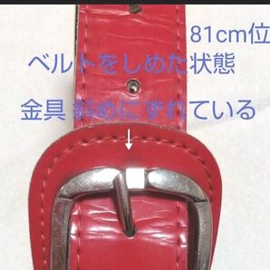 81cm位 ポルテ ベルト 記名なし 野球 ベースボール ユニフォーム mizuno ミズノ