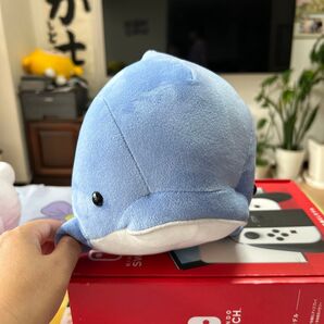 クジラ ぬいぐるみ