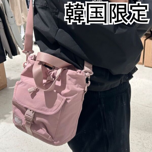 グレイッシュ ピンク*ショルダーバック*韓国限定*ノースフェイス*未使用