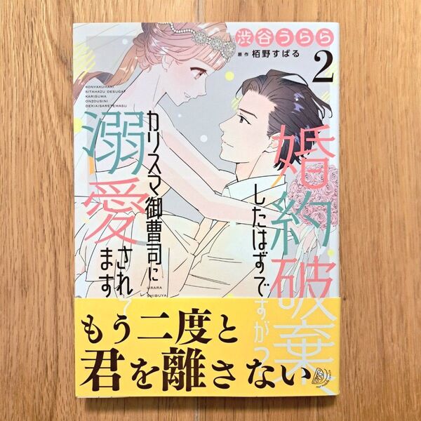 婚約破棄したはずですが?カリスマ御曹司に溺愛されてます 2巻 完結 渋谷うらら