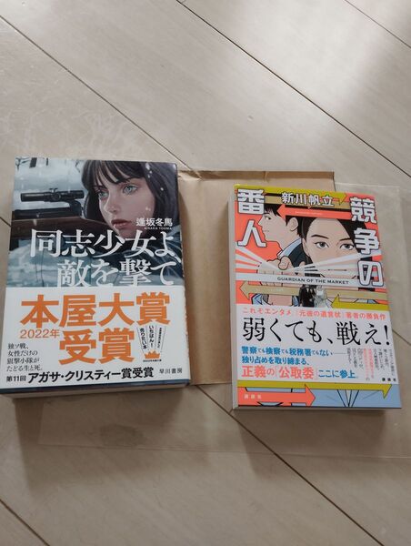 同志少女よ敵を撃て