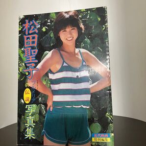 松田聖子 写真集 プルメリアの伝説