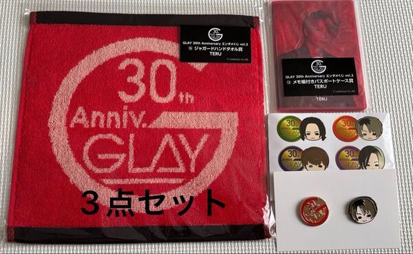 GLAY 30th Anniversaryエンタメくじ vol.2 TERU 3点セット ピンズ パスポートケース ハンドタオル