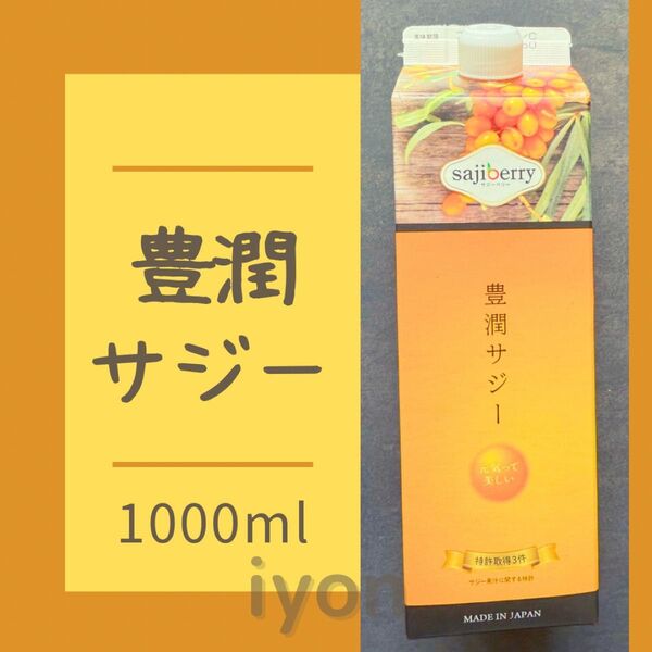 フィネス 豊潤サジー 1000ml 【賞味期限 25.12.4】